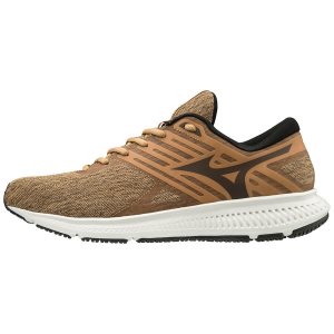 Mizuno Ezrun LX 2 Παπουτσια Για Τρεξιμο Ανδρικα - Καφε